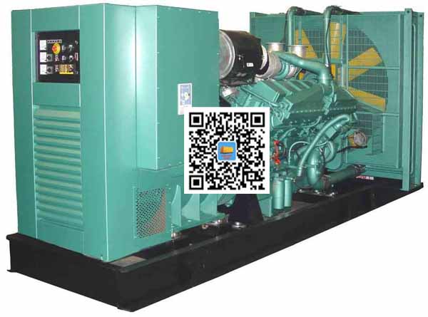 兴山笼型异步发电机的电力电子控制技术